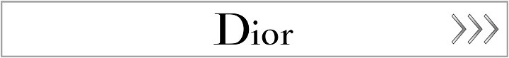 クリスチャンディオール DIOR