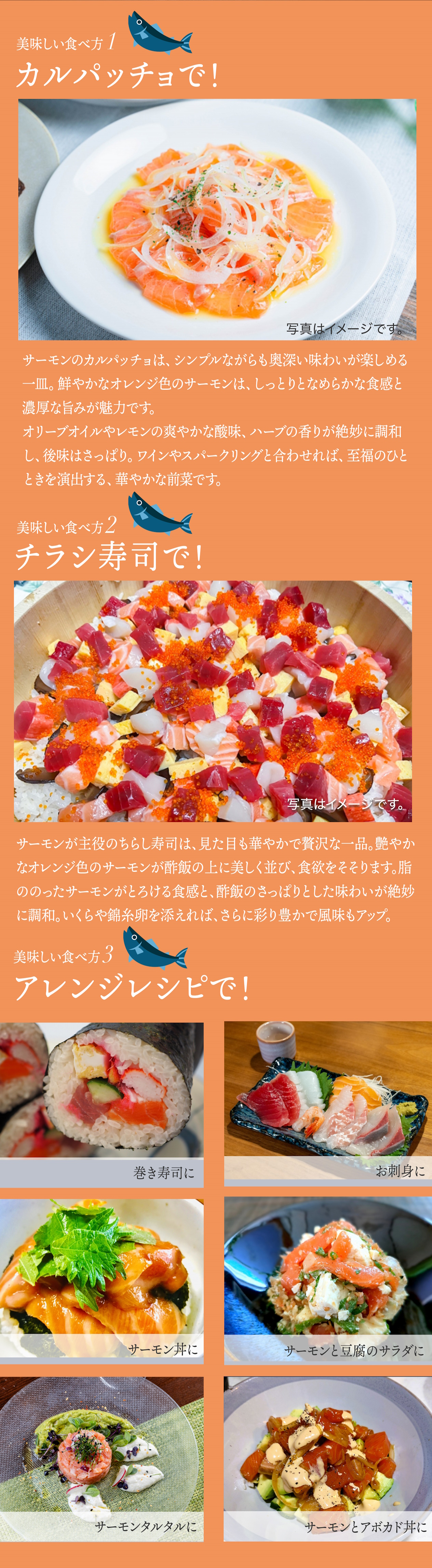 桜サーモン （刺身用サクラマス・ブロック・250〜300g ※骨が