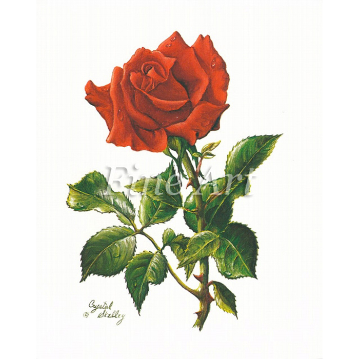 100％本物保証！ ファスナーチャーム <真紅の薔薇>