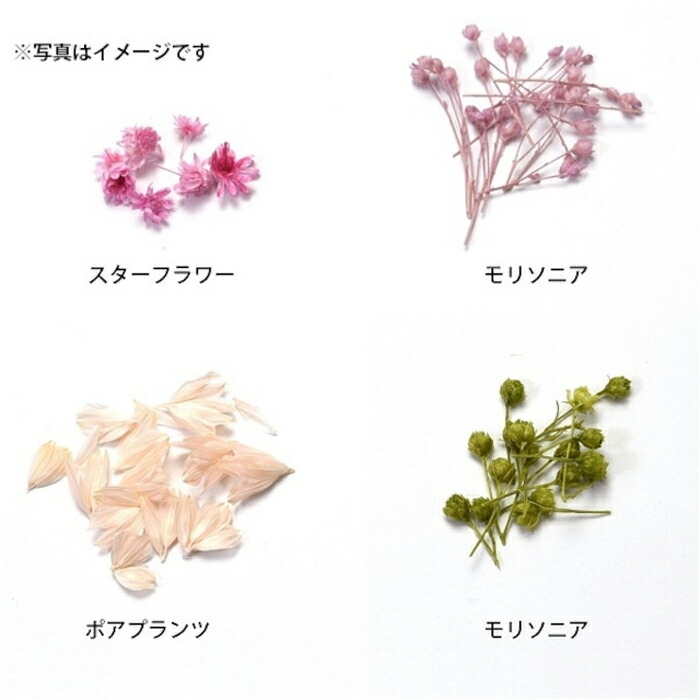 レジンクラフト リアルミックスフラワー ピンク メール便/宅配便可 rs