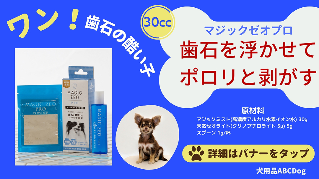DOGトリミング講座テキスト&amp;DVDセット 犬用品ABCDog - Yahoo!ショッピング