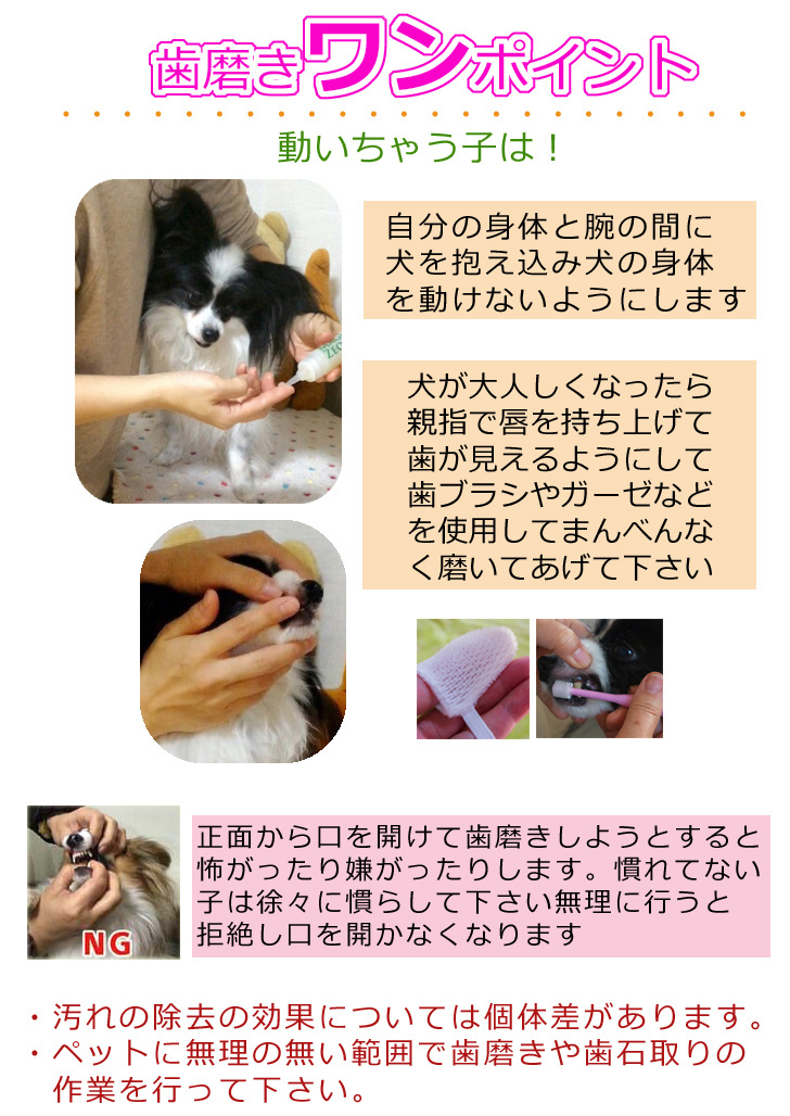 限定価格セール 犬 歯石除去 マジックゼオプロ カンシ 猫 歯磨き ペースト 口臭予防 玩具 歯石取り 器具 歯周病菌 Aynaelda Com 限定価格セール 犬 歯石除去 マジックゼオプロ カンシ 猫 歯磨き ペースト 口臭予防 玩具 歯石取り 器具 歯周病菌 Aynaelda Com