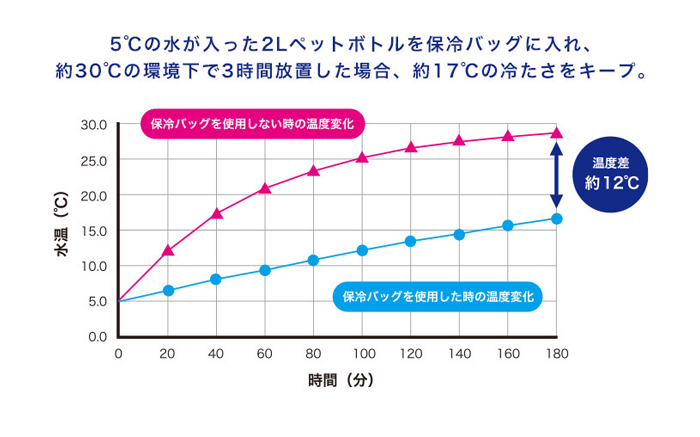 送料無料 防水 撥水 バスケットバッグ レジかごバッグ レジカゴバッグ 保冷 保冷バッグ エコバッグ｜abloom｜09