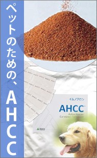 AHCCイムノブロン（細粒）