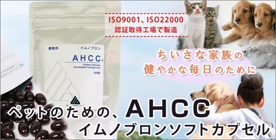 イムノブロン AHCC 動物用 240粒 （120粒×2袋）ソフトカプセル ペット用AHCC イムノブロン (ソフトカプセル) 480粒(120粒×4袋入) 全国
