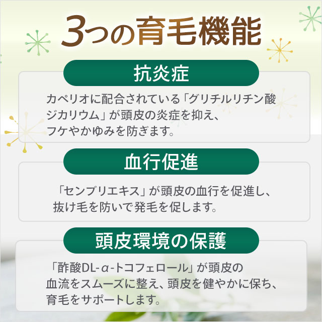 2％OFFクーポンあり｜薬用育毛ローション カペリオ 120ml CAPELIO 医薬部外品 男女兼用 ヘアトニック ｜全国送料無料 レターパック発送 代引不可 | ブランド登録なし | 02