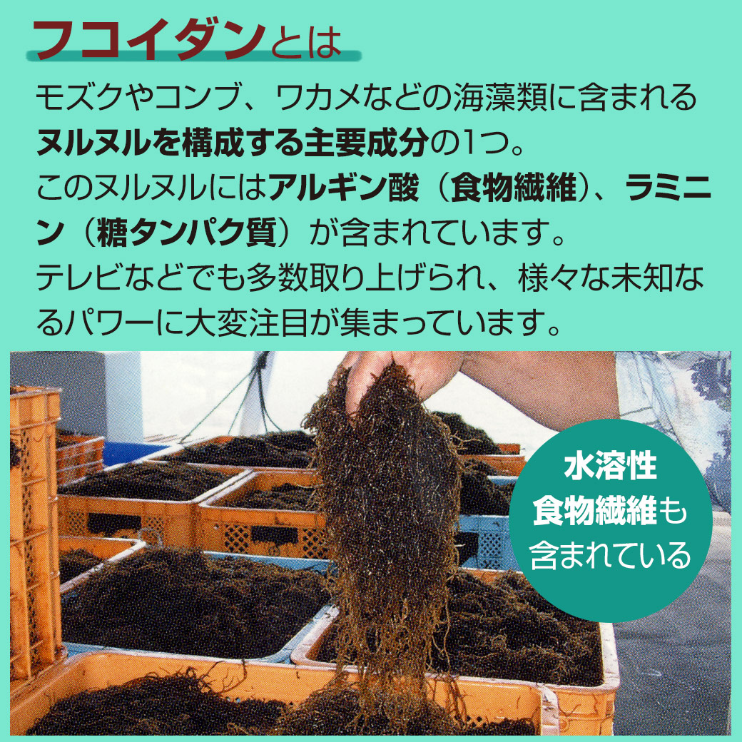 金秀バイオ 沖縄フコイダン(180粒入)10個セット レビュー記入でプレゼント 関連画像3