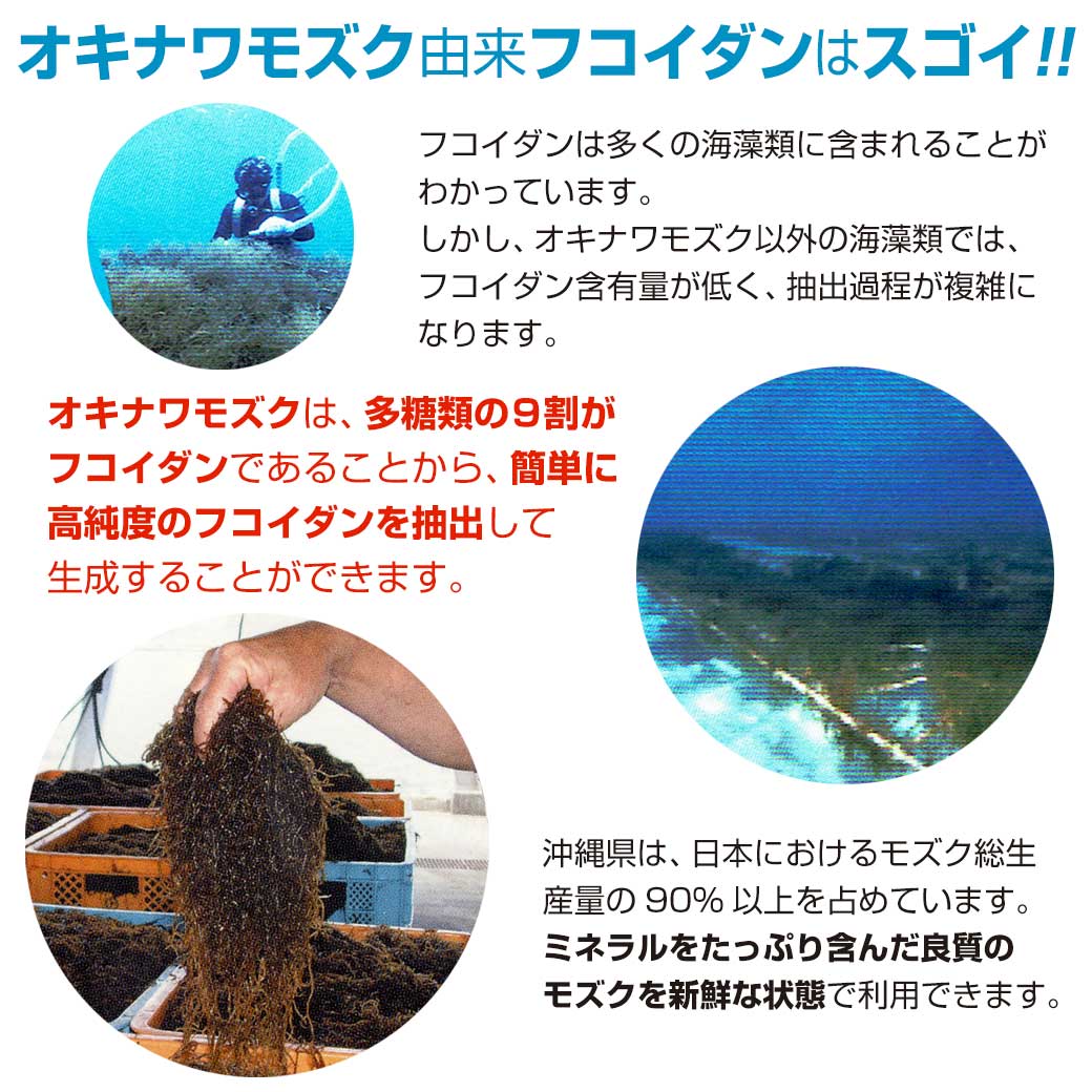 金秀バイオ 沖縄フコイダン(180粒入)10個セット レビュー記入でプレゼント 関連画像4