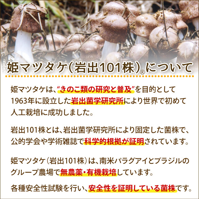 四季元（3g×30袋）【2箱セット】シエン 姫マツタケ 岩出101株 多糖体