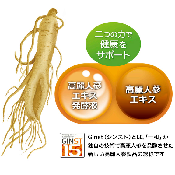 一和 ジンスト15 高麗人参濃縮茶(100g)高麗人参エキス発酵液+高麗人参エキス Ginst15 :jinst100-1:エイブリー ...