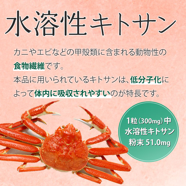 菊芋＆水溶性キトサン＆サラシア（180粒）健康習慣サポート キトサン食品｜全国送料無料｜レターパック発送｜代引不可｜ably｜04