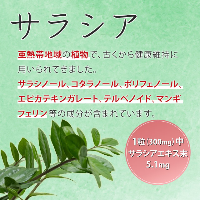 菊芋＆水溶性キトサン＆サラシア（180粒）健康習慣サポート キトサン食品｜全国送料無料｜レターパック発送｜代引不可｜ably｜05