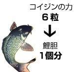 コイジンの力
