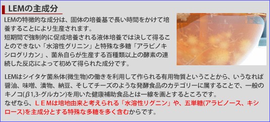 LEMの主成分