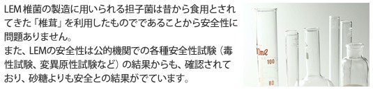 LEM安全性説明文