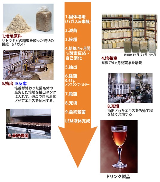 LEM工程