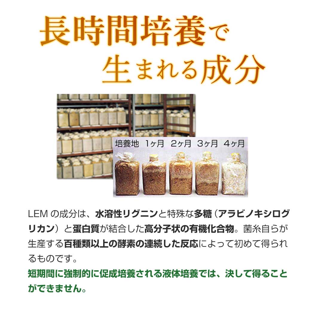 HOTお買い得 健康食品_R > LEM椎菌_R > シーキン（椎菌）原末細粒（1.5
