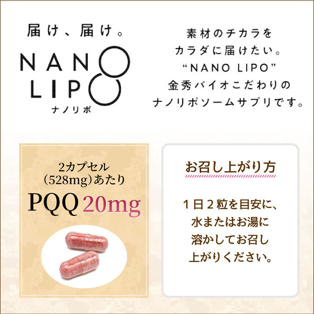 金秀バイオ NANO LIPO ナノリポ PQQ（264mg×60粒）｜ピロロキノリン