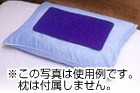 バイオラバーネテルマーニー