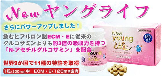 Newヤングライフ