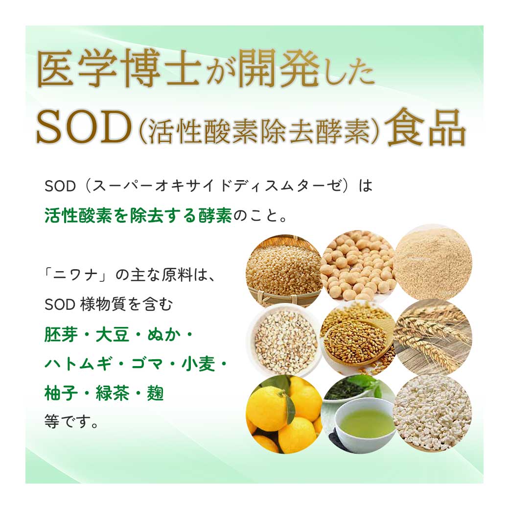 SOD食品 ニワナ（120包）10個セット  niwana｜ably｜02