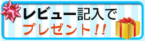 レビュー記入でプレゼント