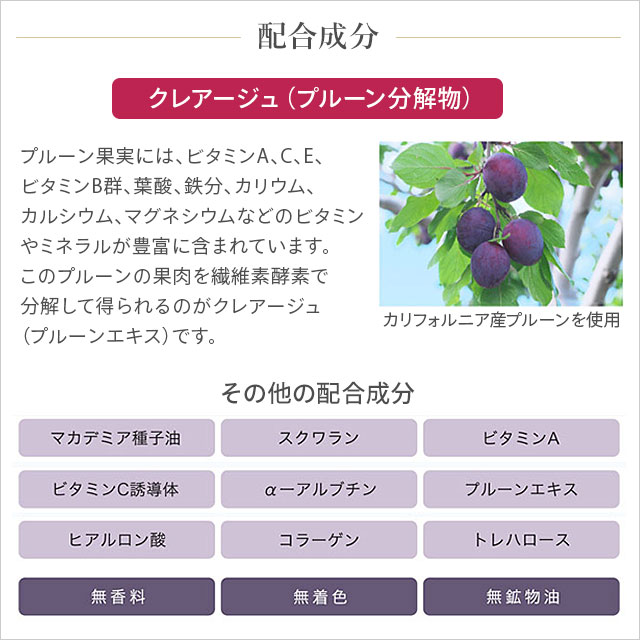 サティスEXビューティークリーム（40g）サティスアルファ正規品｜濃密保湿クリーム 無香料 無着色 低刺激｜全国送料無料｜レターパック発送｜代引不可 | ブランド登録なし | 03