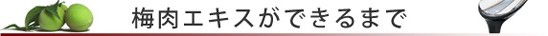 梅肉エキスができるまで