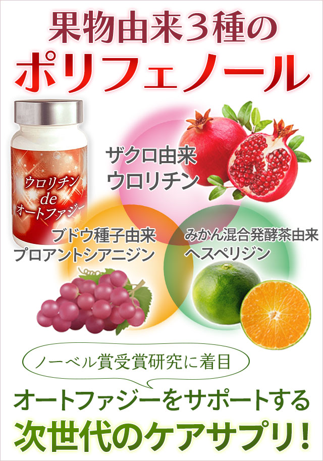 ウロリチンdeオートファジー（290mg×90粒）エラグ酸 ポリフェノール