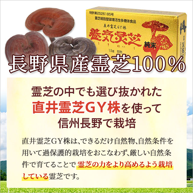 300円OFFクーポン付｜養気霊芝 純末（1.5g×60包）直井霊芝GY株 レイシ