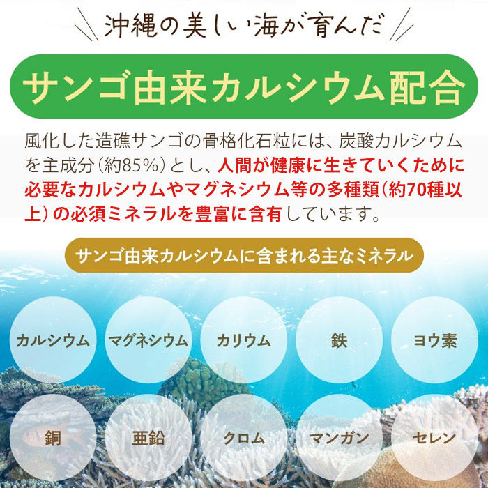 金秀バイオ YUIプロテイン しあわせ黒糖ココア味 (260g)｜国産 ビタミン 沖縄産琉球ヤム｜全国送料無料｜レターパック発送｜代引不可 | ブランド登録なし | 04