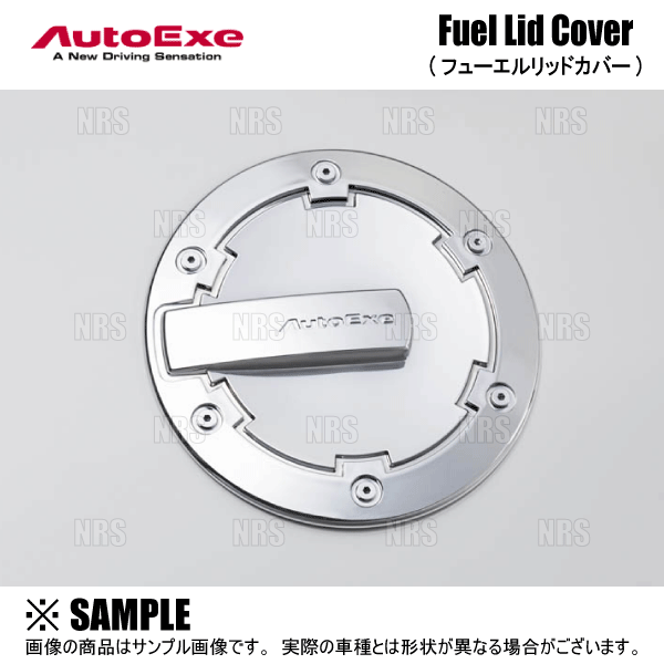 オートエクゼ AutoExe ドアハンドルカバー＆プロテクター セット