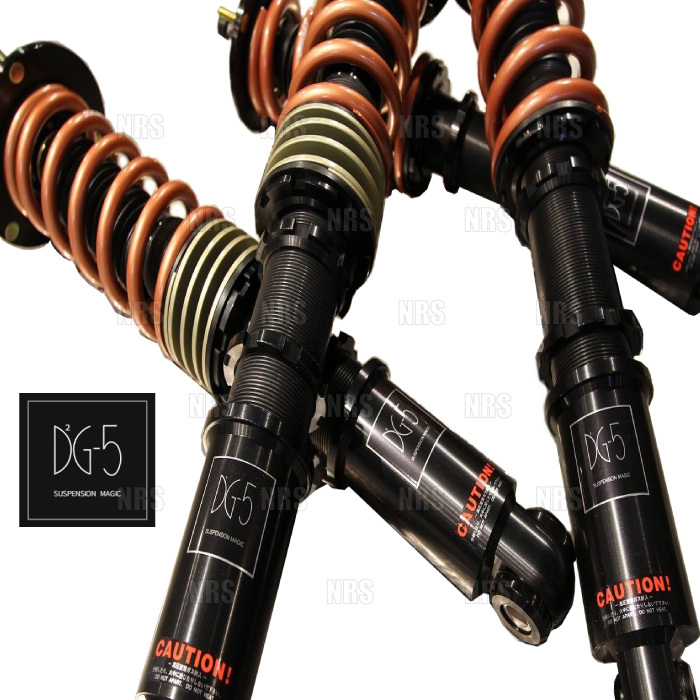 DG-5 ディージーファイブ サスペンションキット 車高調 セフィーロ A31