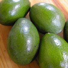 国産アボカド（ベーコン種）1．7Kg : アボカドの橋爪農園 - 通販