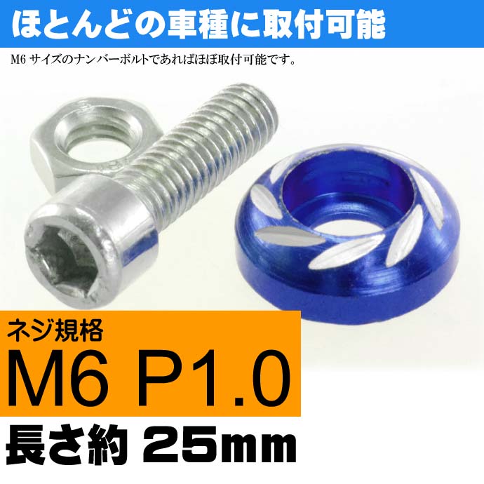 ナンバープレートボルト ネジ カラーワッシャー 2個