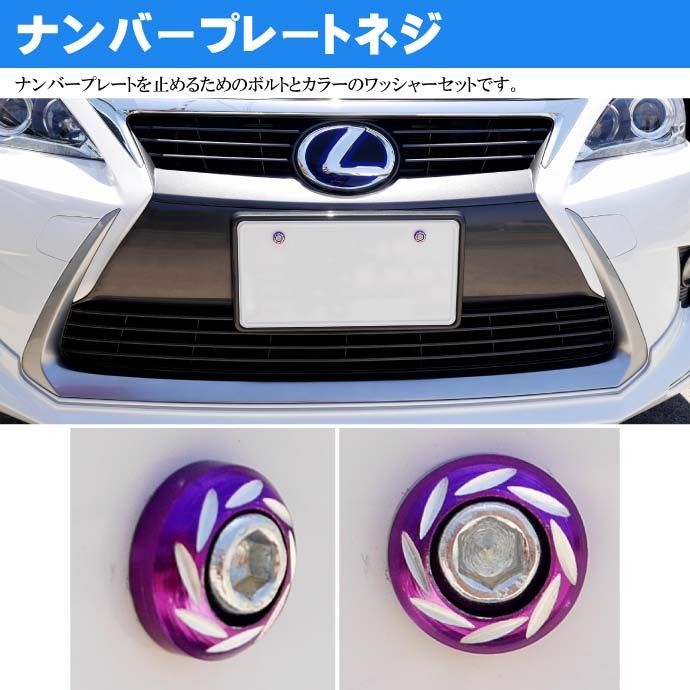 ナンバープレートボルト ネジ カラーワッシャー 2個