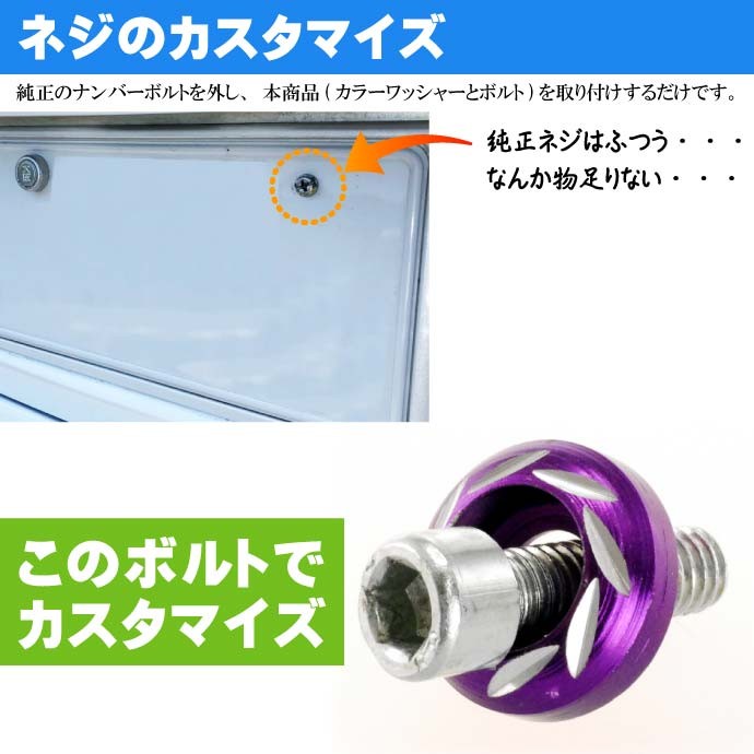 ナンバープレートボルト ネジ カラーワッシャー 2個