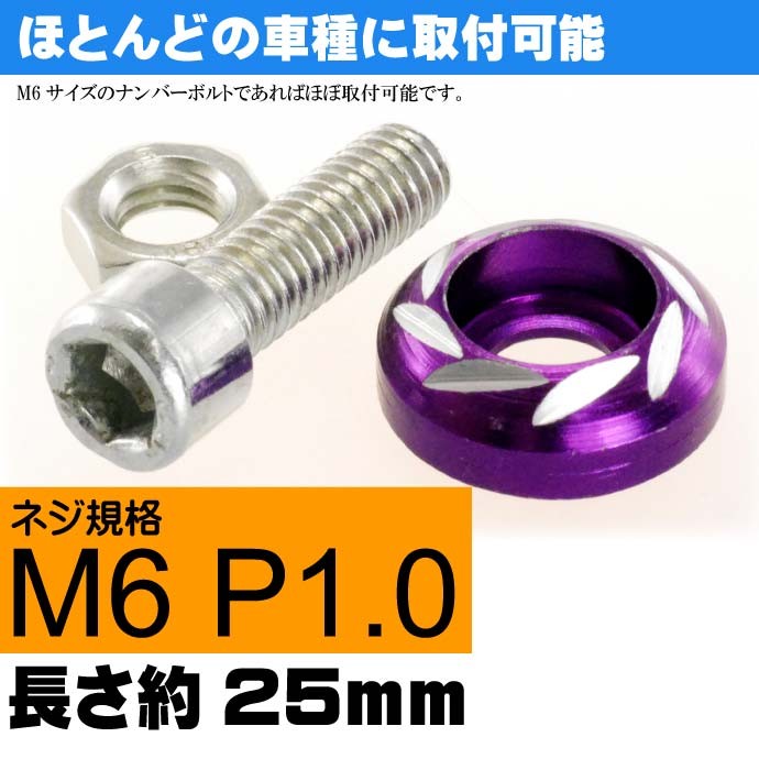 ナンバープレートボルト ネジ カラーワッシャー 紫2個 ビス M6 P1.0