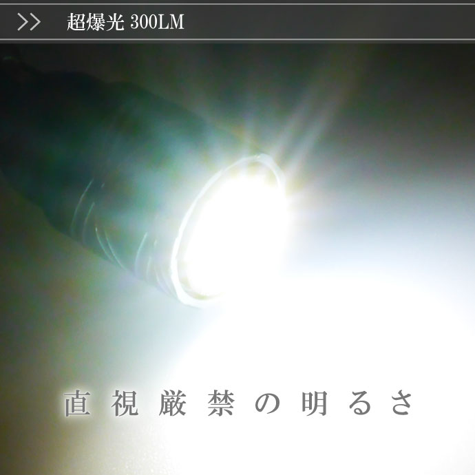 LEDバルブ