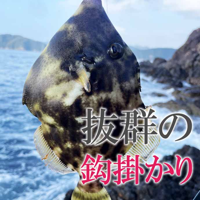 Gamakatsu（がまかつ） ハゲ鈎 カワハギ鈎 釣り針 5号 20本入 釣り具