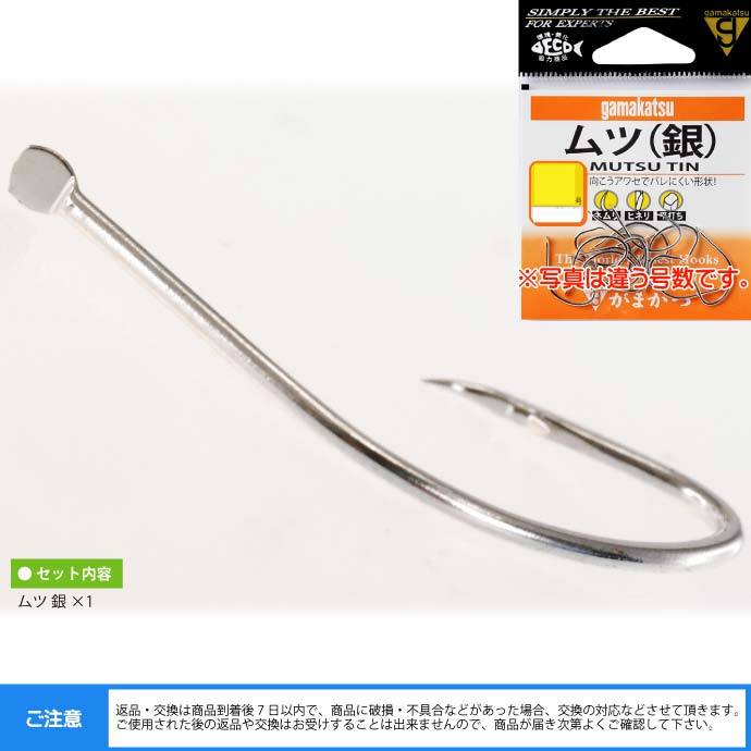 サービス 0.5kg 送料無料 まとめ買い M1 タキイ種苗 メジウム 芝種 タネのタキイ 2