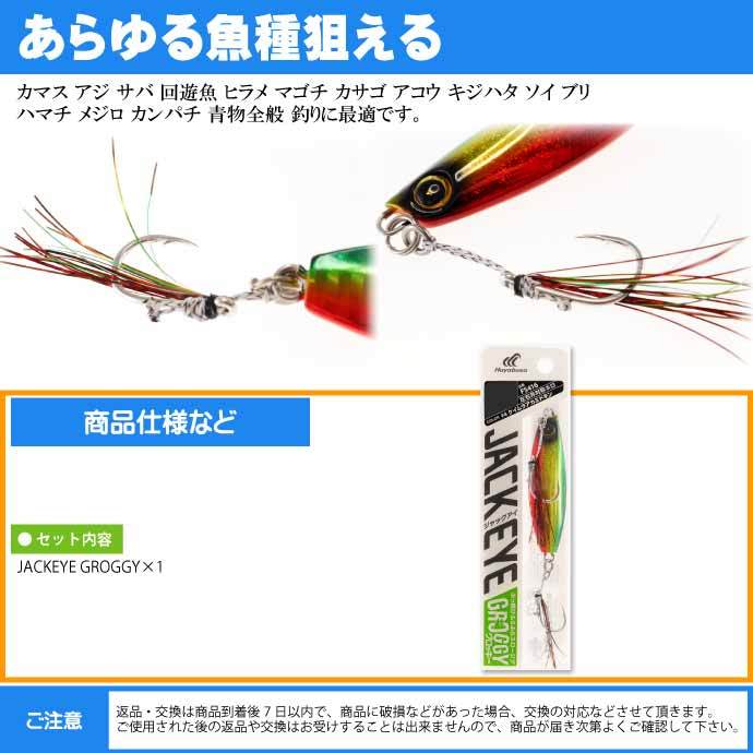 Hayabusa JACKEYE ぶっ飛びふらふらスロージグ ジャックアイ
