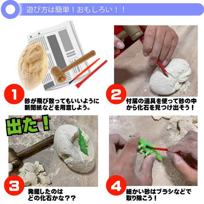 恐竜の化石　ナイフ　登録証付き 恐竜の化石 ナイフ 登録証付き - メルカリ
