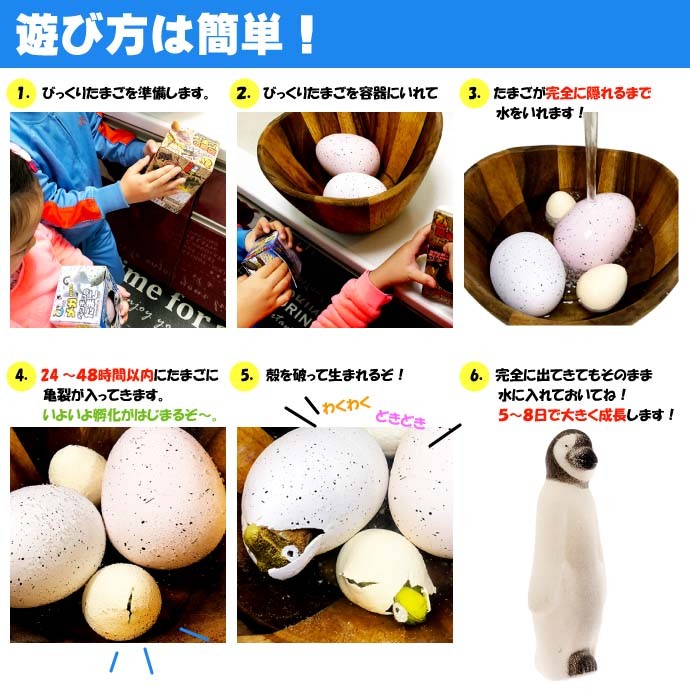 びっくりメガたまご ペンギン 卵から生まれて大きくなる 育てている感が出て毎日楽しく眺めれるおもちゃ Ms9 Ms Avail 通販 Yahoo ショッピング