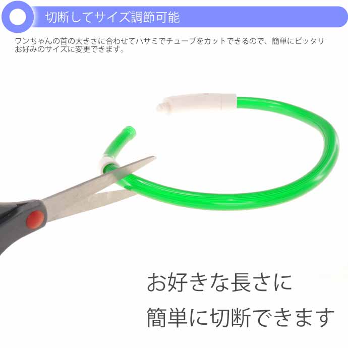 USB充電式 LEDライト首輪