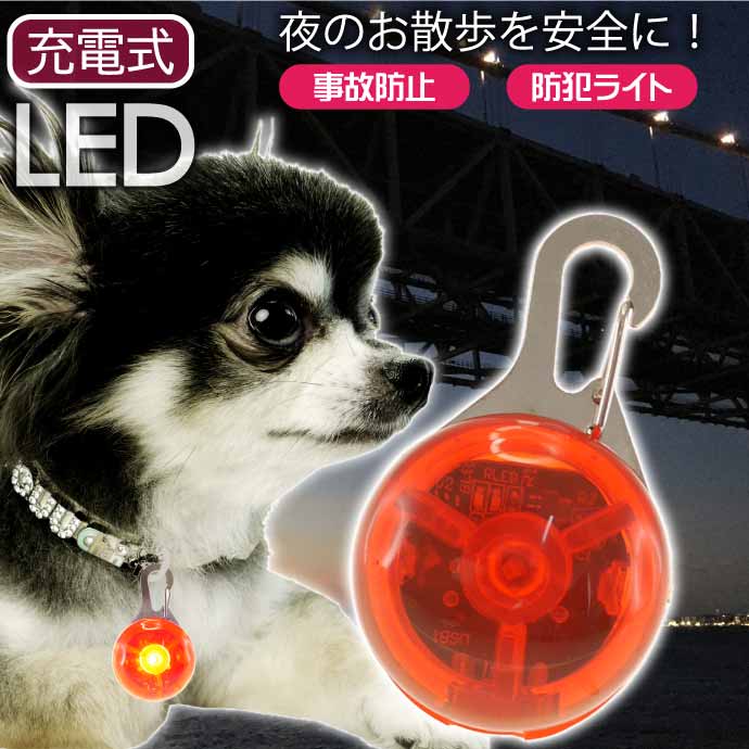 セーフティ ライト レッド ペット LED 散歩 犬 首輪 安全 リード - 犬用品