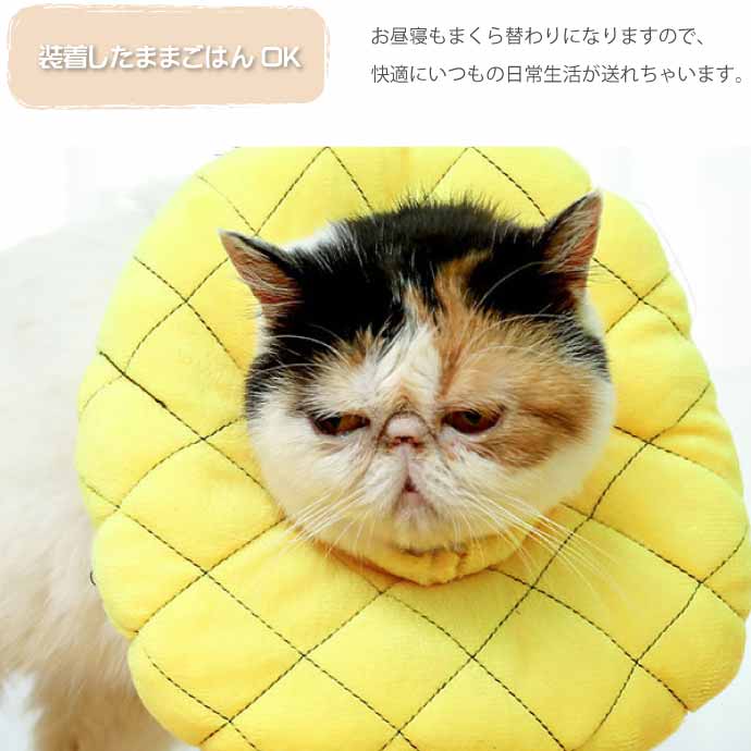 犬 猫 エリザベスカラー パイナップル 首周り15〜25cm ソフト犬