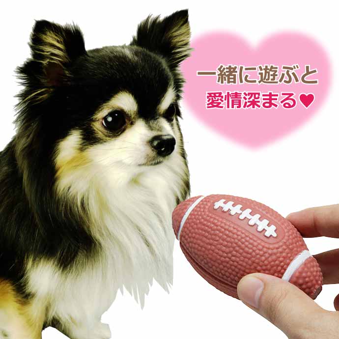 ペット用おもちゃ 玩具 トイ 音が鳴る ボール
