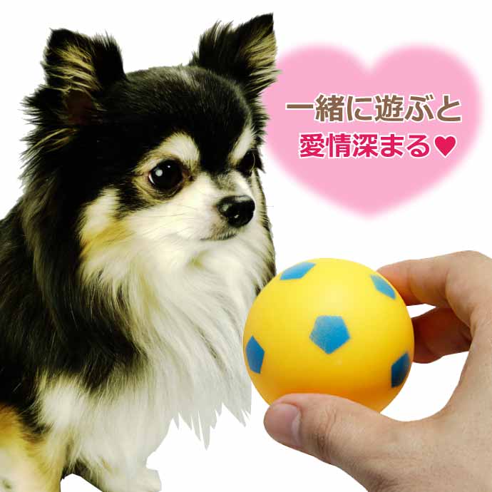 音がなるわんこ 犬が超反応する音】わんちゃんが超反応する音ベスト10！モカ恋