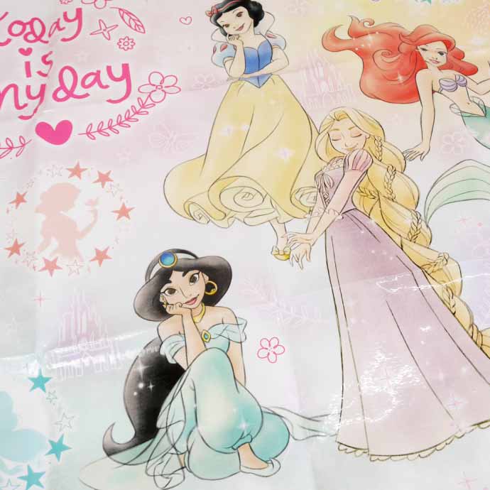 Disney（ディズニー） プリンセス 23 レジャーシート ござ 90×60cm VS1